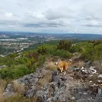 Hébergement de vacances Casa Serra à Vista Al/140571 Pedreiras (Leiria)