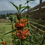 Casa Serra à Vista Al/140571 *