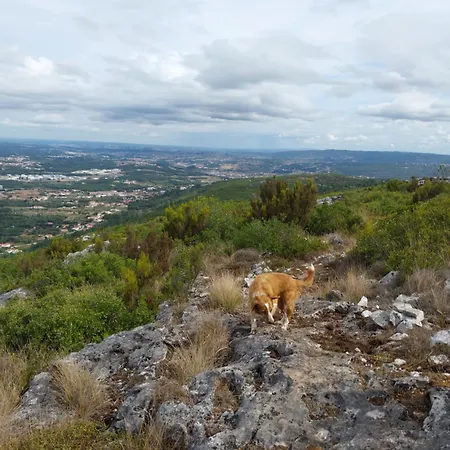 Nyaraló Casa Serra A Vista Al/140571 Pedreiras (Leiria)
