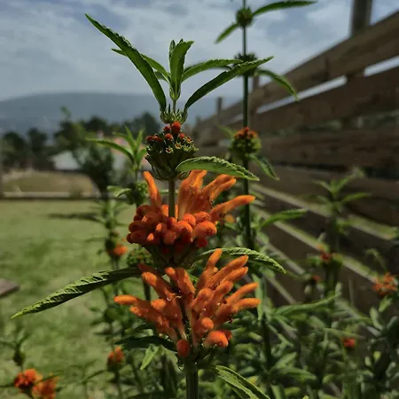 Casa Serra A Vista Al/140571 *