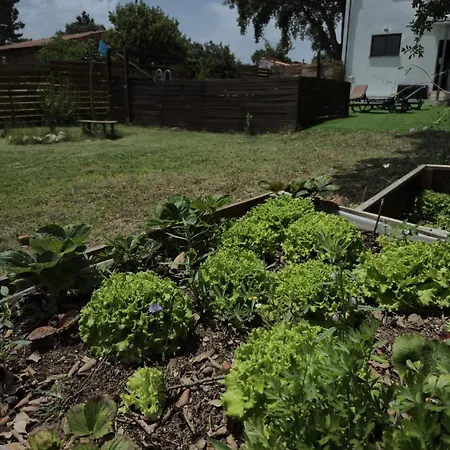 Casa Serra A Vista Al/140571 * Pedreiras (Leiria)