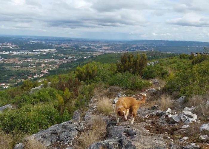 別荘 Casa Serra A Vista Al/140571 Pedreiras (Leiria)