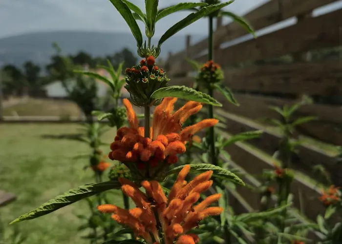 Casa Serra A Vista Al/140571 *