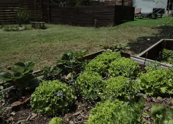 Casa Serra A Vista Al/140571 * Pedreiras (Leiria)